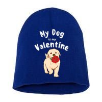 My Dog Is My Valentine Golden Retriever Mom Dad Great Gift Short Acrylic Beanie