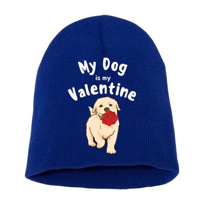 My Dog Is My Valentine Golden Retriever Mom Dad Great Gift Short Acrylic Beanie