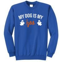 My Dog Is My Boo Funny Dog Owner Halloween Costume Pajamas Gift Sweatshirt