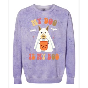 My Dog Is My Boo Funny Halloween Dog Lover Gift Colorblast Crewneck Sweatshirt