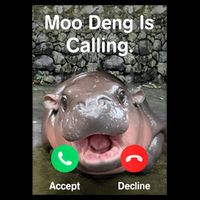 Moo Deng Is Calling Meme Funny Vintage Little Hippo Performance Shirt