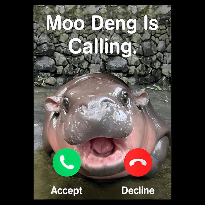 Moo Deng Is Calling Meme Funny Vintage Little Hippo Performance Shirt
