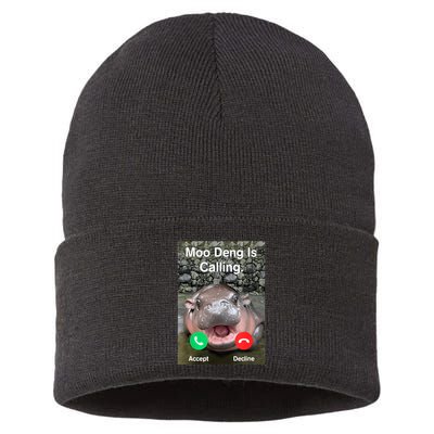 Moo Deng Is Calling Meme Funny Vintage Little Hippo Sustainable Knit Beanie