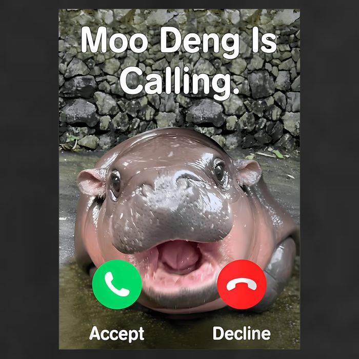 Moo Deng Is Calling Meme Funny Vintage Little Hippo Trucker Hat