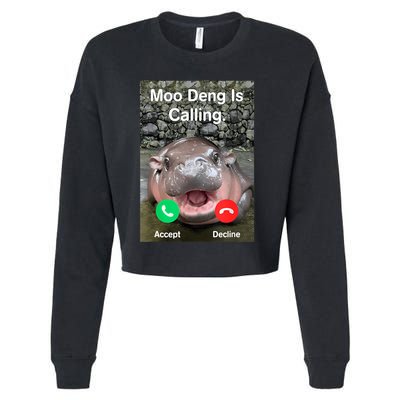 Moo Deng Is Calling Meme Funny Vintage Little Hippo Cropped Pullover Crew