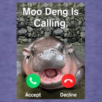 Moo Deng Is Calling Meme Funny Vintage Little Hippo Womens T-Shirt