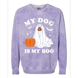 My Dog Is My Boo Halloween Funny Dog Owner Ghost Lover Great Gift Colorblast Crewneck Sweatshirt