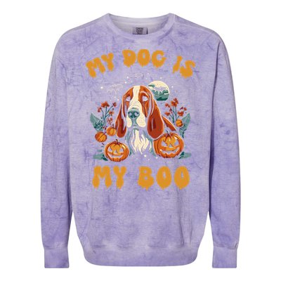 My Dog Is My Boo Halloween Pumpkin Basset Hound Halloween Cute Gift Colorblast Crewneck Sweatshirt