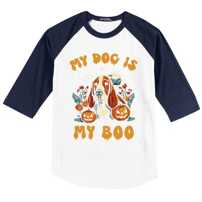 My Dog Is My Boo Halloween Pumpkin Basset Hound Halloween Cute Gift Baseball Sleeve Shirt