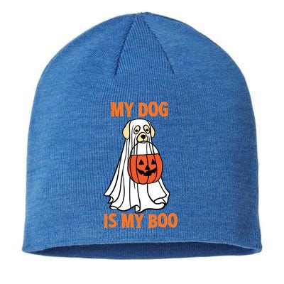 My Dog Is My Boo Happy Halloween Dog Animal Costume Funny Great Gift Sustainable Beanie