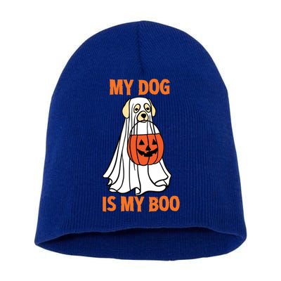 My Dog Is My Boo Happy Halloween Dog Animal Costume Funny Great Gift Short Acrylic Beanie