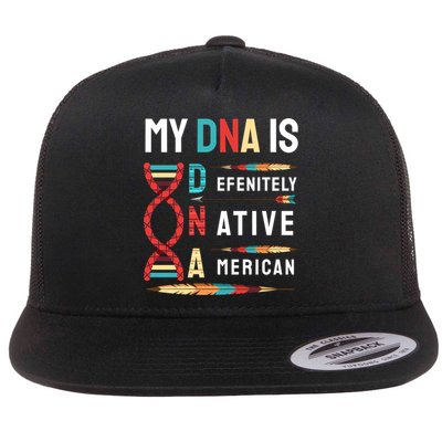 My Dna Is Defenitely Native American Funny Indian Lover Gift Flatbill Hat