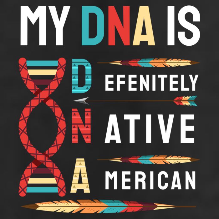 My Dna Is Defenitely Native American Funny Indian Lover Gift Hat