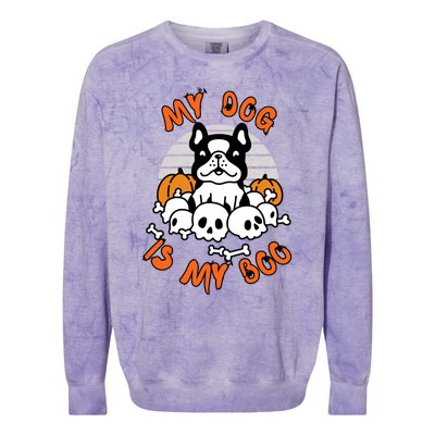 My Dog Is My Boo Spooky Ghost Halloween Dog Lover Groovy Cool Gift Colorblast Crewneck Sweatshirt