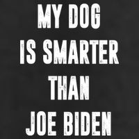 My Dog Is Smarter Than Joe Biden Funny Cool Comfort Performance Bucket Hat