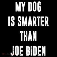My Dog Is Smarter Than Joe Biden Funny 7-Panel Snapback Hat