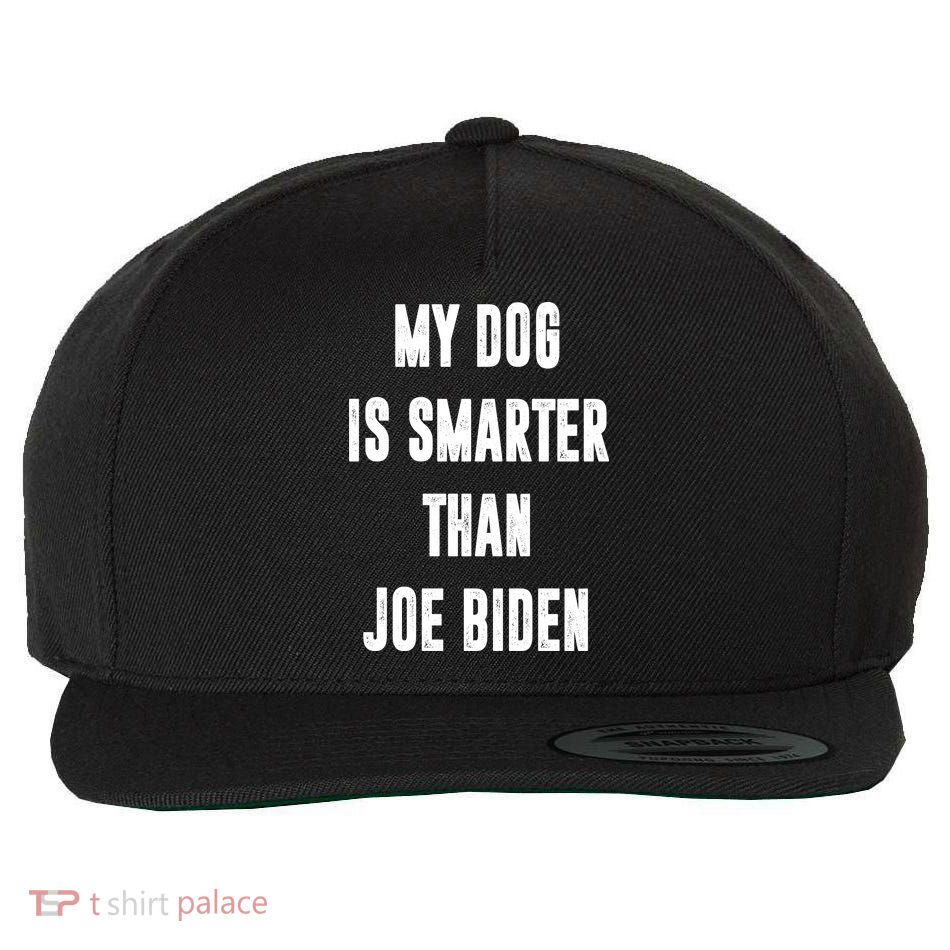 My Dog Is Smarter Than Joe Biden Funny Wool Snapback Cap