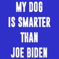 My Dog Is Smarter Than Joe Biden Funny Premium T-Shirt