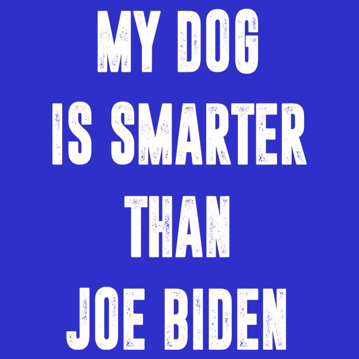 My Dog Is Smarter Than Joe Biden Funny Premium T-Shirt