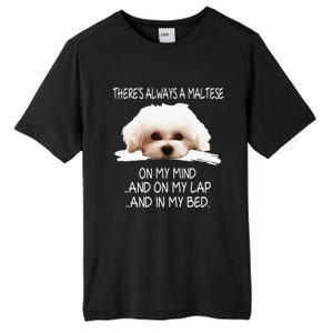 Maltese Dog Is On My Mind Funny Puppy Owner Design Tall Fusion ChromaSoft Performance T-Shirt