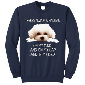 Maltese Dog Is On My Mind Funny Puppy Owner Design Sweatshirt