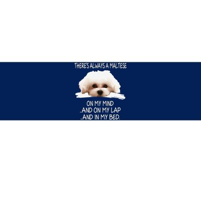 Maltese Dog Is On My Mind Funny Puppy Owner Design Bumper Sticker