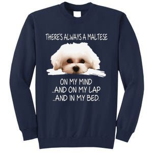 Maltese Dog Is On My Mind Funny Puppy Owner Design Tall Sweatshirt