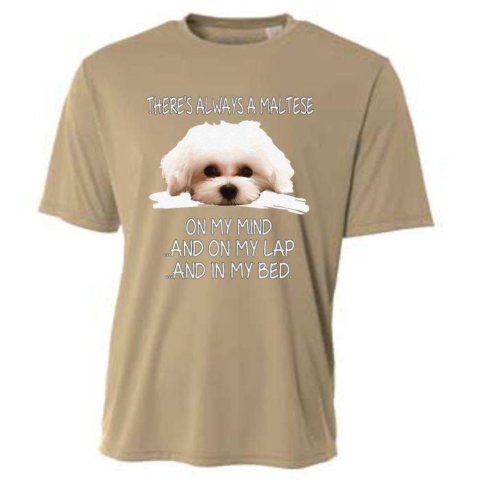 Maltese Dog Is On My Mind Funny Puppy Owner Design Cooling Performance Crew T-Shirt