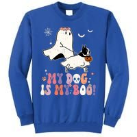 My Dog Is My Boo Boston Terrier Pumpkin Ghost Halloween Meaningful Gift Tall Sweatshirt