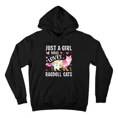 Mother's Day Just A Who Loves Ragdoll Cats Tall Hoodie