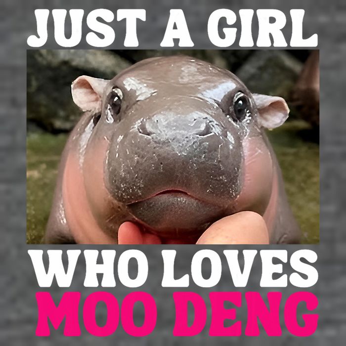 Moo Deng Just A Girl Who Loves Moo Deng Cute Baby Hippo Tall Sweatshirt
