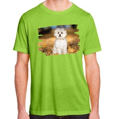 Maltese Dog Lover Gift Adult ChromaSoft Performance T-Shirt