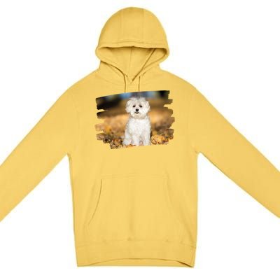 Maltese Dog Lover Gift Premium Pullover Hoodie