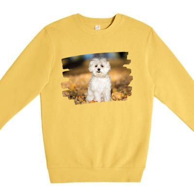 Maltese Dog Lover Gift Premium Crewneck Sweatshirt