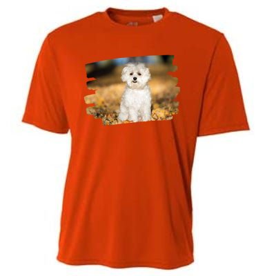 Maltese Dog Lover Gift Cooling Performance Crew T-Shirt