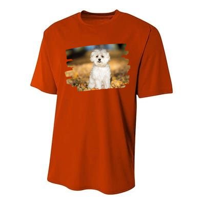 Maltese Dog Lover Gift Performance Sprint T-Shirt