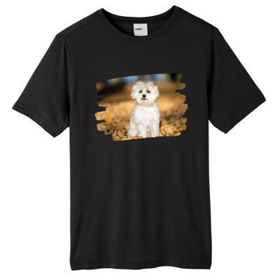 Maltese Dog Lover Gift Tall Fusion ChromaSoft Performance T-Shirt