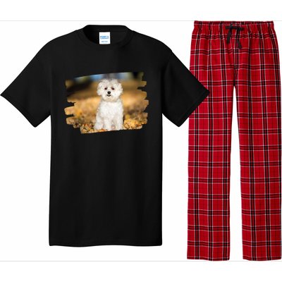 Maltese Dog Lover Gift Pajama Set