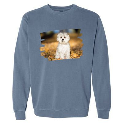 Maltese Dog Lover Gift Garment-Dyed Sweatshirt