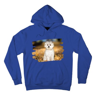 Maltese Dog Lover Gift Hoodie