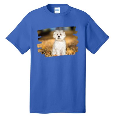 Maltese Dog Lover Gift Tall T-Shirt