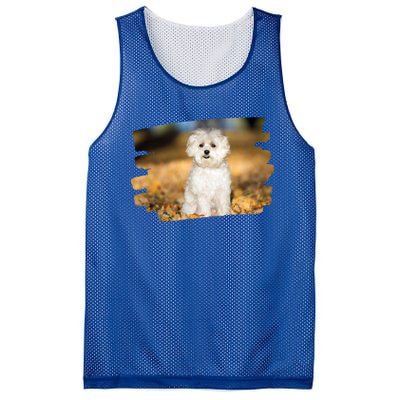 Maltese Dog Lover Gift Mesh Reversible Basketball Jersey Tank