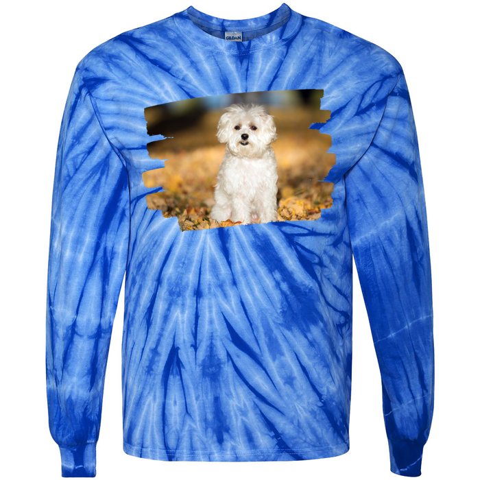 Maltese Dog Lover Gift Tie-Dye Long Sleeve Shirt