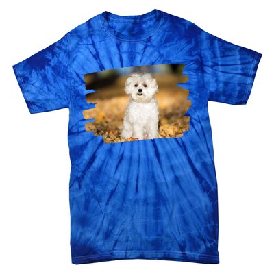 Maltese Dog Lover Gift Tie-Dye T-Shirt