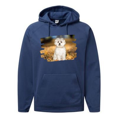 Maltese Dog Lover Gift Performance Fleece Hoodie