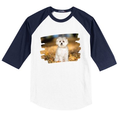 Maltese Dog Lover Gift Baseball Sleeve Shirt