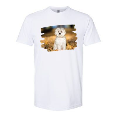 Maltese Dog Lover Gift Softstyle CVC T-Shirt