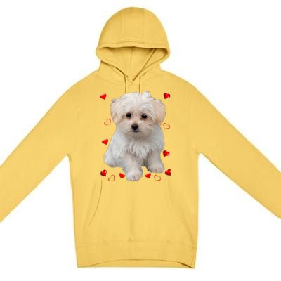 Maltese Dog Lover Dogs Puppies Owners Design Premium Pullover Hoodie