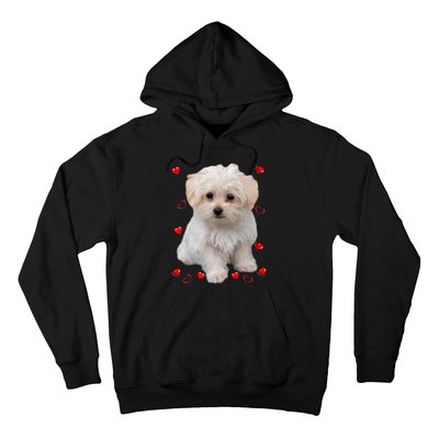 Maltese Dog Lover Dogs Puppies Owners Design Hoodie