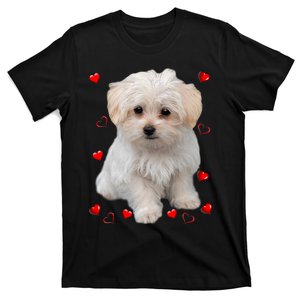 Maltese Dog Lover Dogs Puppies Owners Design T-Shirt